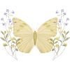 Butterfly with flowers