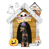 Halloween Dobermann Dog Witch