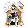 Halloween Siberian Husky Dog Witch