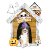 Halloween Australian Shepherd Dog Witch