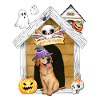 Halloween Golden Retriever Dog Witch