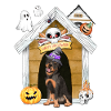 Halloween Rottweiler Dog Witch