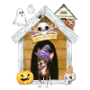 Halloween Chihuahua Dog Witch