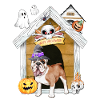 Halloween British Bulldog Dog Witch