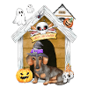 Halloween Dachshund Dog Witch