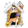Halloween Boxer Dog Witch