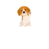 Kein Leben ohne Hund