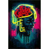 The Brain