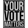 your vote matters quote