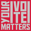 your vote matters quote