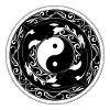 Yin Yang Orcas