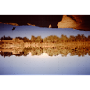 Lake Forest View