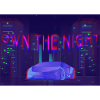 OWN THE NIGHT