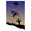 Motocross Stunt