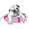 Bouledogue français
