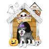 Halloween Miniature Schnauzer Dog Witch