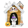 Halloween Maltese Dog Witch