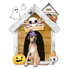 Halloween Great Dane Dog Witch