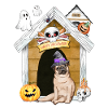 Halloween Pug Dog Witch