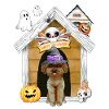 Halloween Poodle Dog Witch