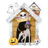 Halloween Pointer Dog Witch
