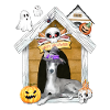 Halloween Greyhound Dog Witch
