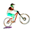 MTB downhill mountain bike