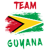 Drapeaux de l'équipe Guyane