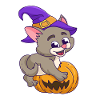 Pumpkin Halloween Witch