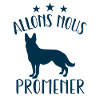 Allons Nous Promener | chien