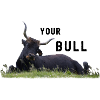 Bull Policeman votre taureau