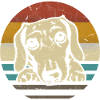 Dachshund Puppy Dog