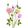 Fleur