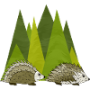 Hedgehogs