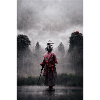 Samurai in the fog