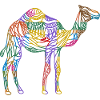 Kamel