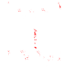 Physio Physiotherapeut