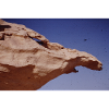 Desert