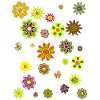 Flower Power Peace Flowers