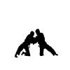 Choose judo quote