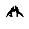 Équipe de judo