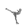 Figure skating fingerprint