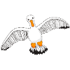 Mouette