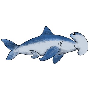 Hammerhai