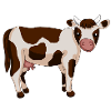 spotted cow