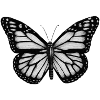 066557FA DCED 488A B26F A7D812E6A3F8