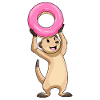 Erdmännchen mit Donut