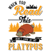 Schnabeltier Platypus