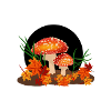 Pilz