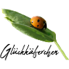 Lucky Beetle Ladybug Lucky Charm